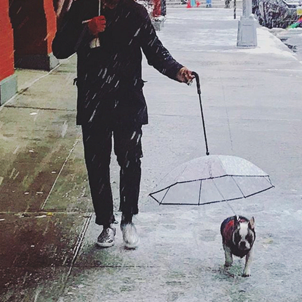 Dog's Transparent Umbrella With Chain
