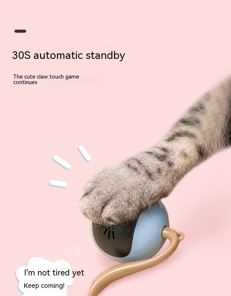 Cat Toy Electric Ball