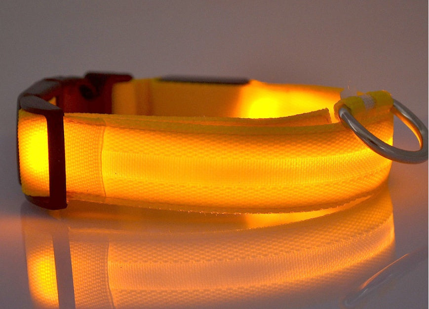 Nylon LED Pet Luminous Collar Flashing Glow in Dark