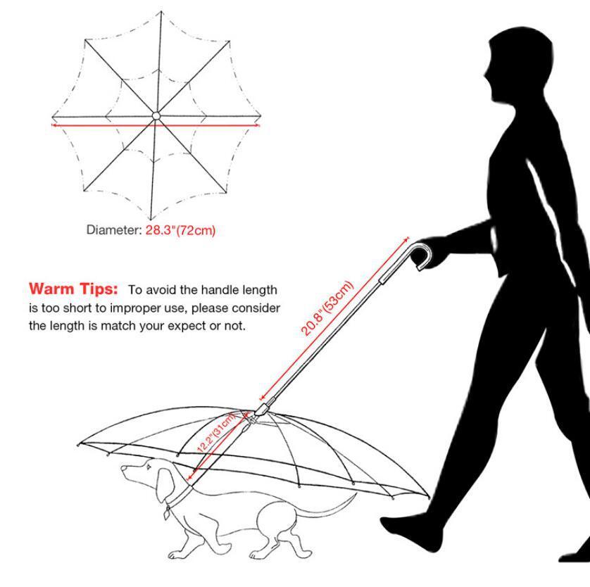 Dog's Transparent Umbrella With Chain