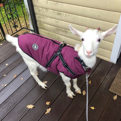 Waterproof Dog Winter Dog Coat With Harness