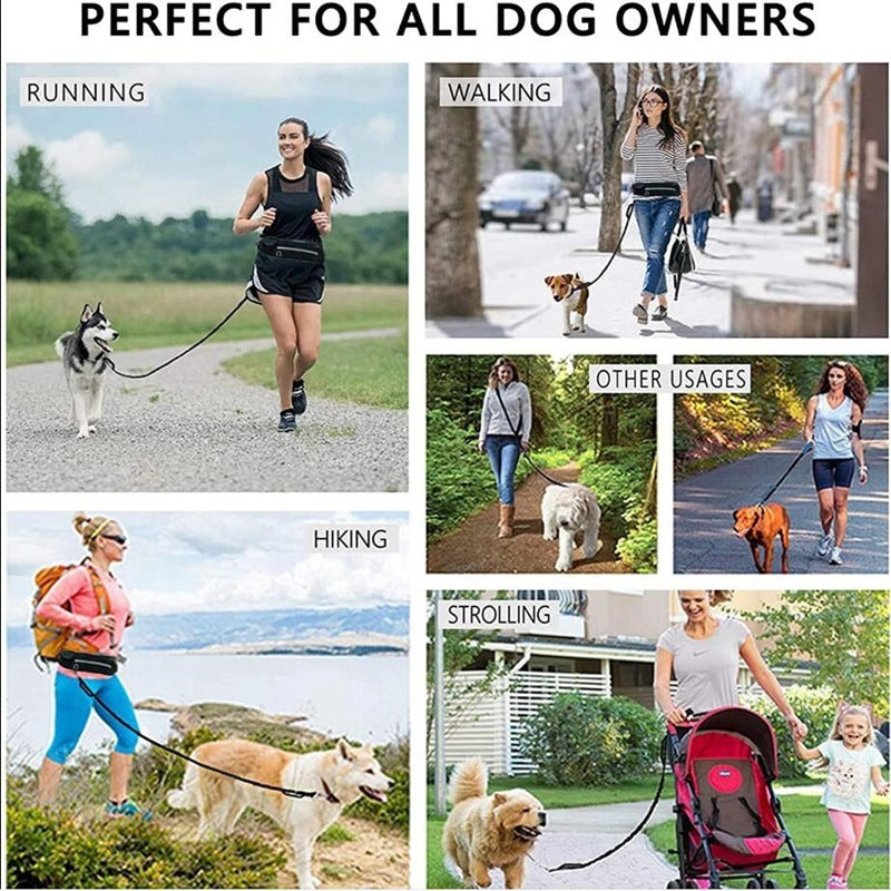 Hands Free Dog Leash And Training Belt With Shock Absorbing Bungee/Up to 180 lbs