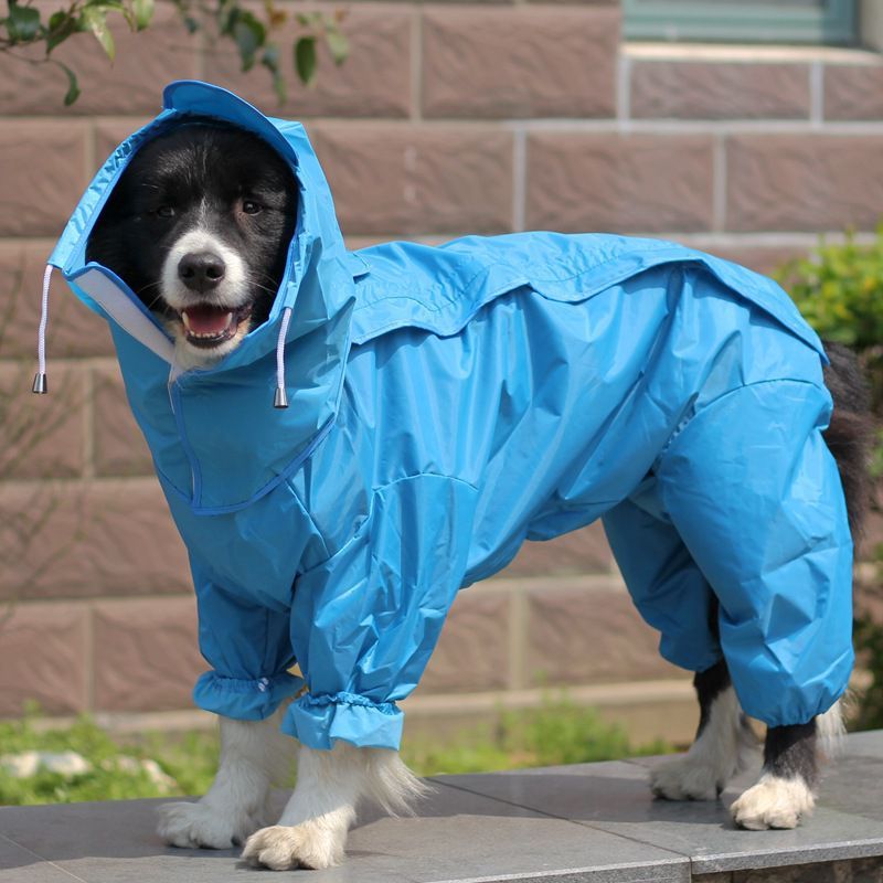 Dog Raincoat