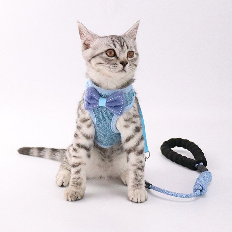 Cat chest and back leash