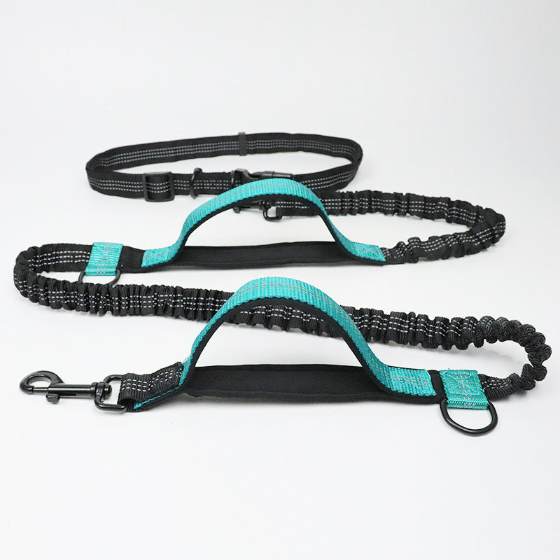 Reflective pull dog leash double elastic