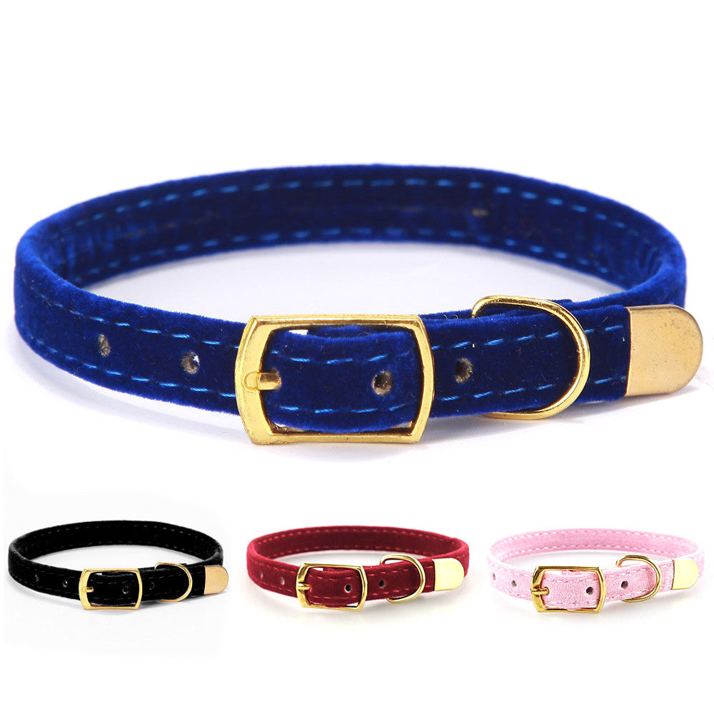 Pet cat collar