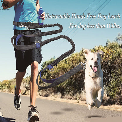 Reflective pull dog leash double elastic