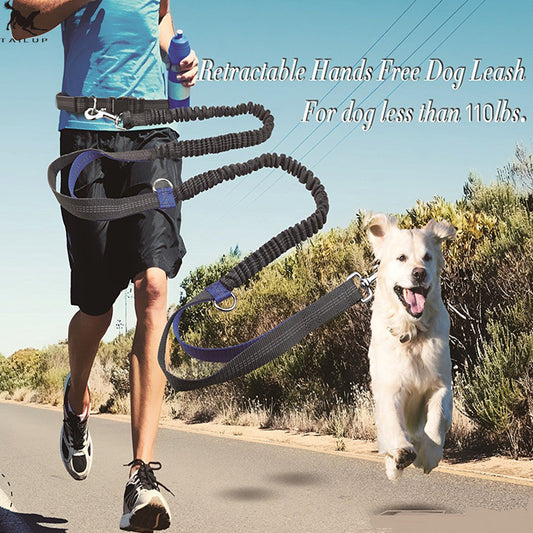 Reflective pull dog leash double elastic