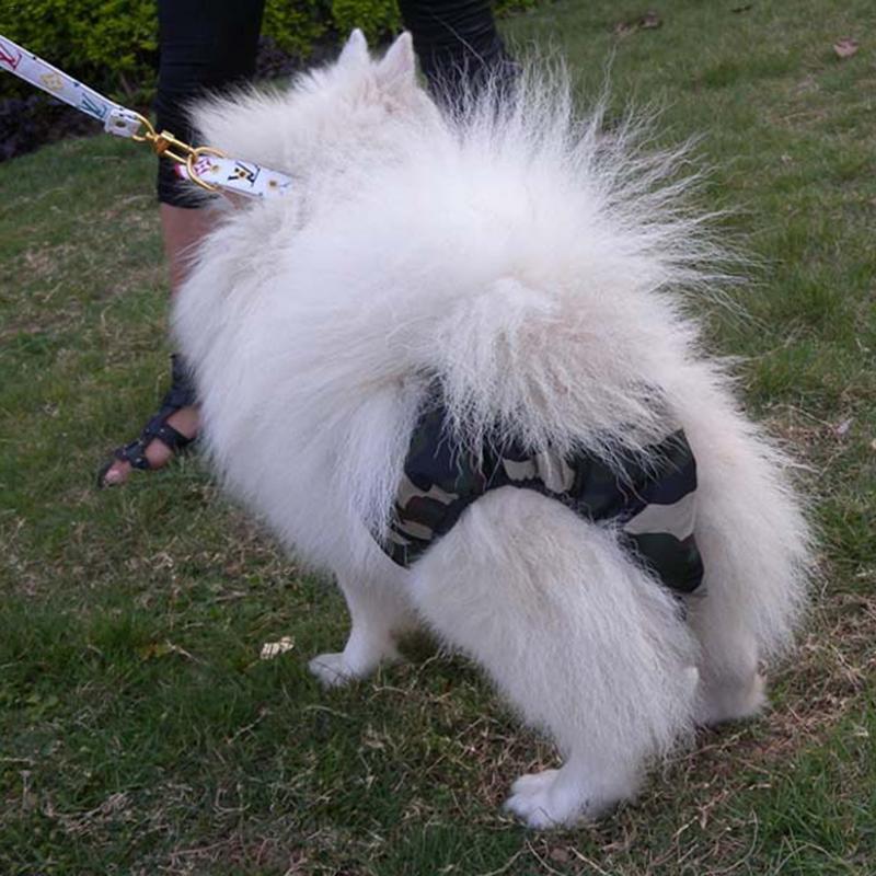 Female Dog Menstrual Pants