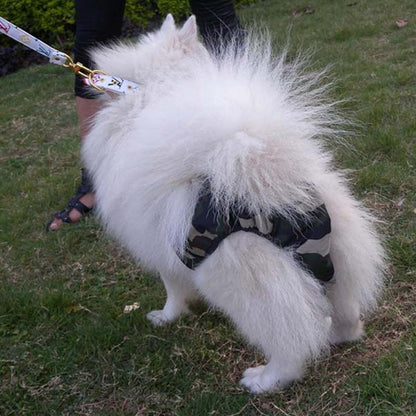 Female Dog Menstrual Pants