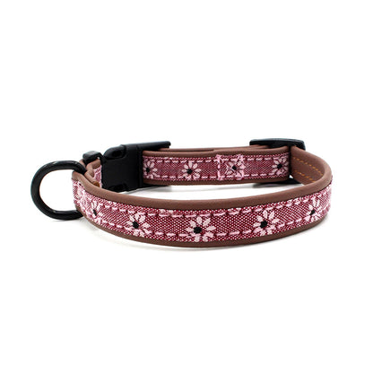 Dog Collar Plastic Buckle