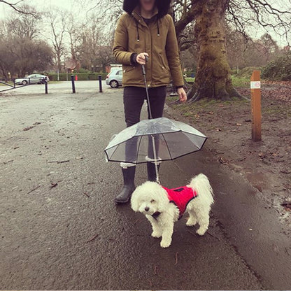 Dog's Transparent Umbrella With Chain