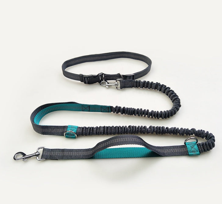 Reflective pull dog leash double elastic