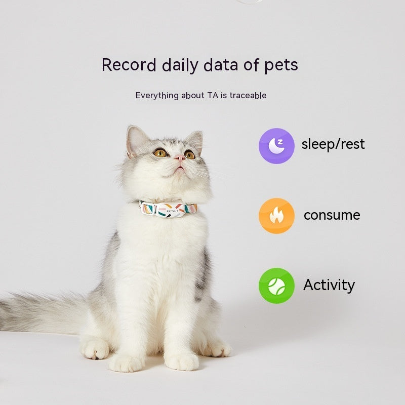 Pet Dog Activity Detection Wearable Equipment