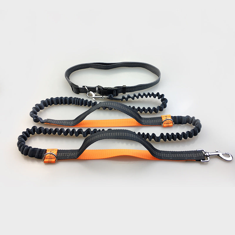 Reflective pull dog leash double elastic