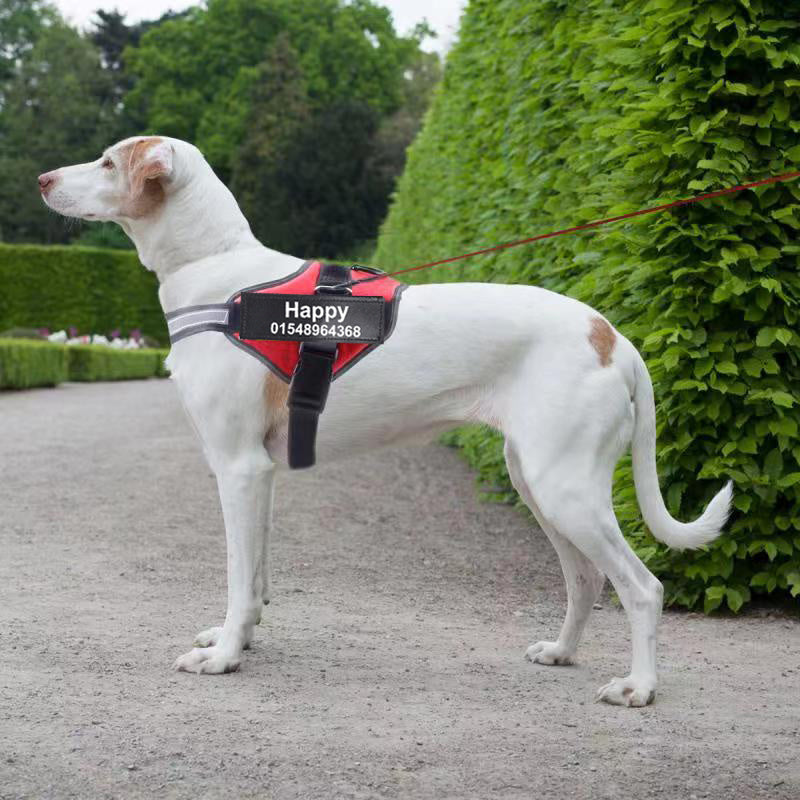 Personalized Custom Reflective Breathable Dog Harness/ NO PULL Adjustable