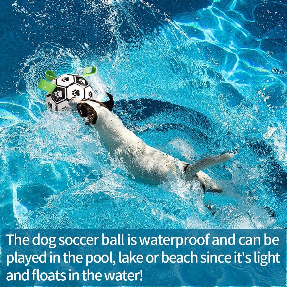 Interactive Dog Soccer Ball Inflated Training