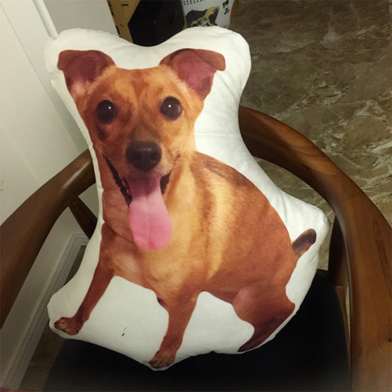 Customize (Your Pet)Pet Pillow