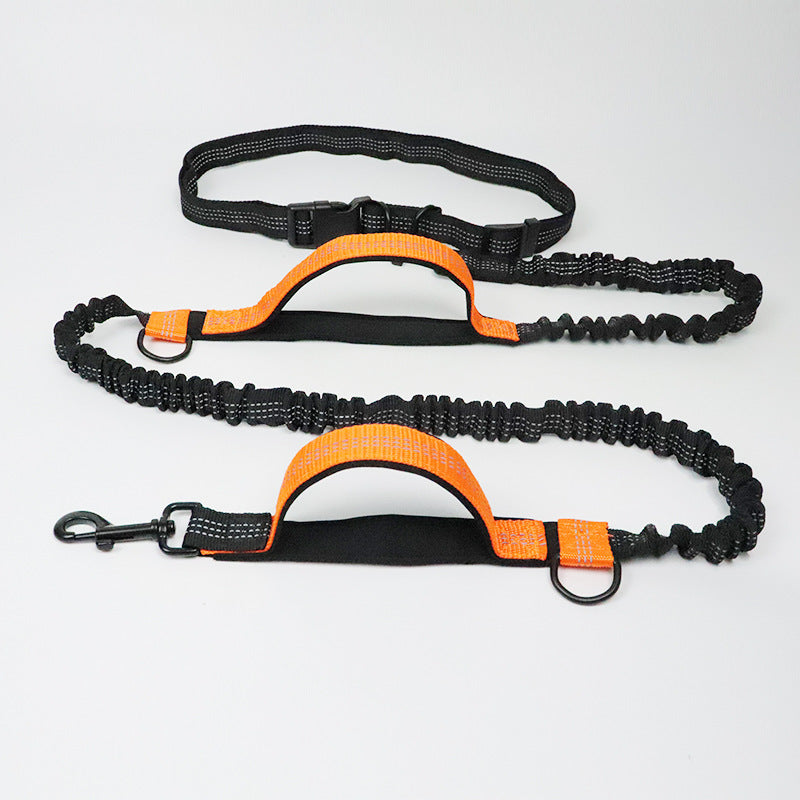 Reflective pull dog leash double elastic