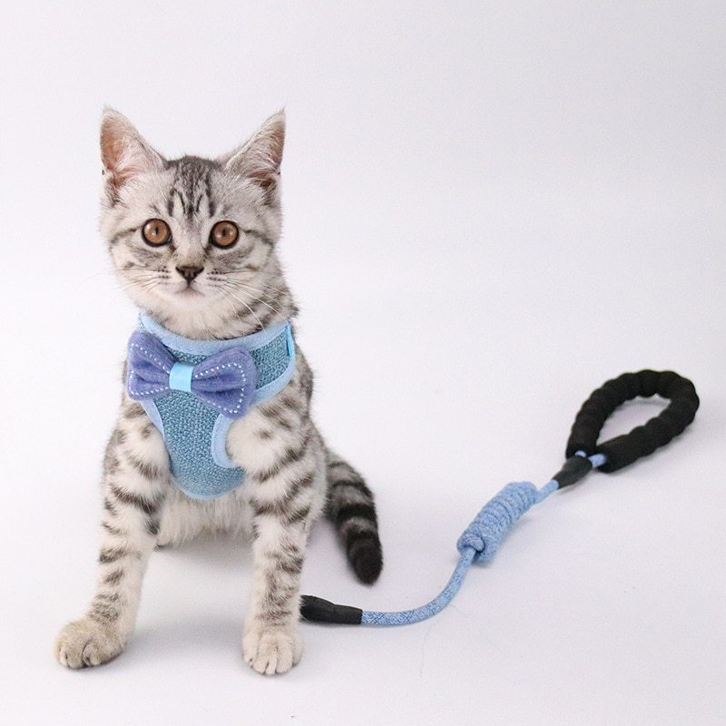 Cat chest and back leash