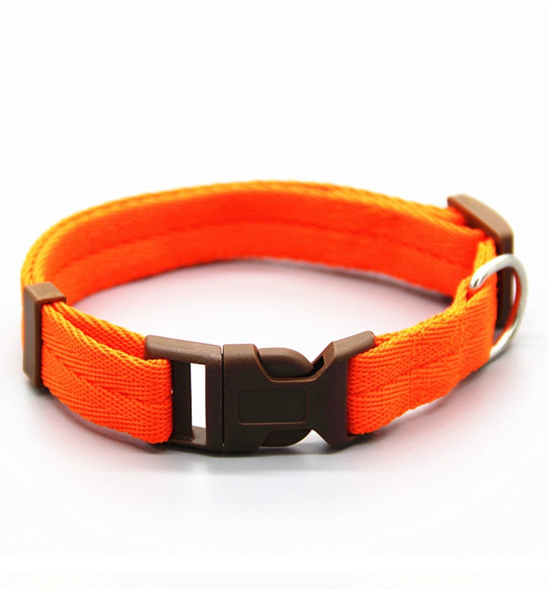 Dog collar big dog collar small dog