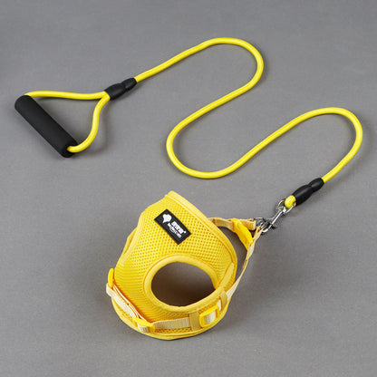 Dog leash/ harness