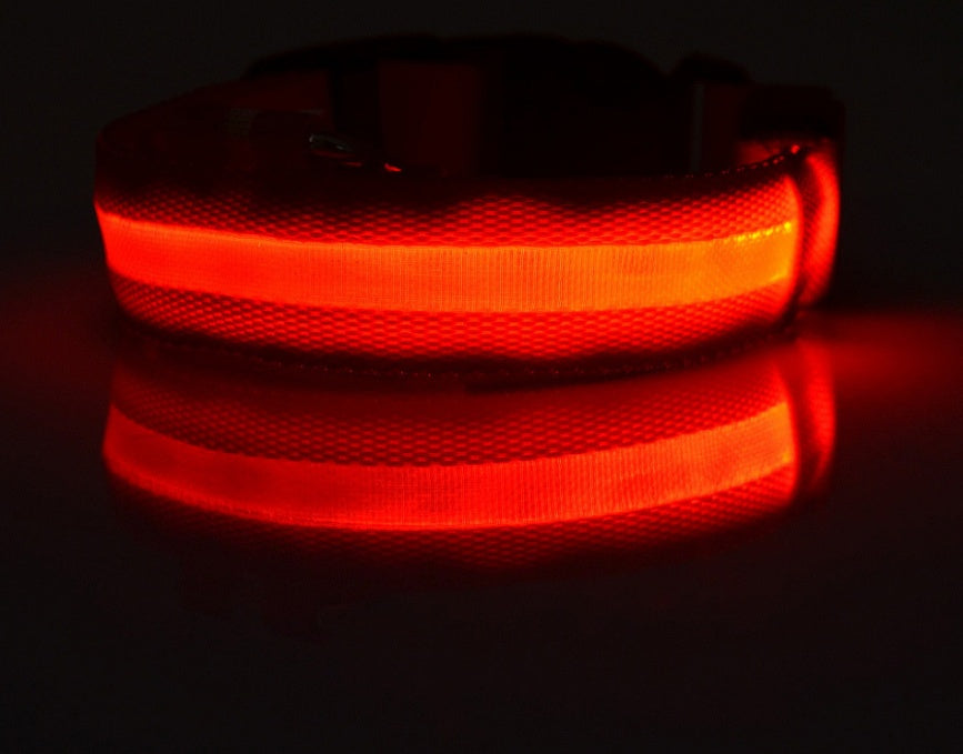 Nylon LED Pet Luminous Collar  Flashing Glow in Dark