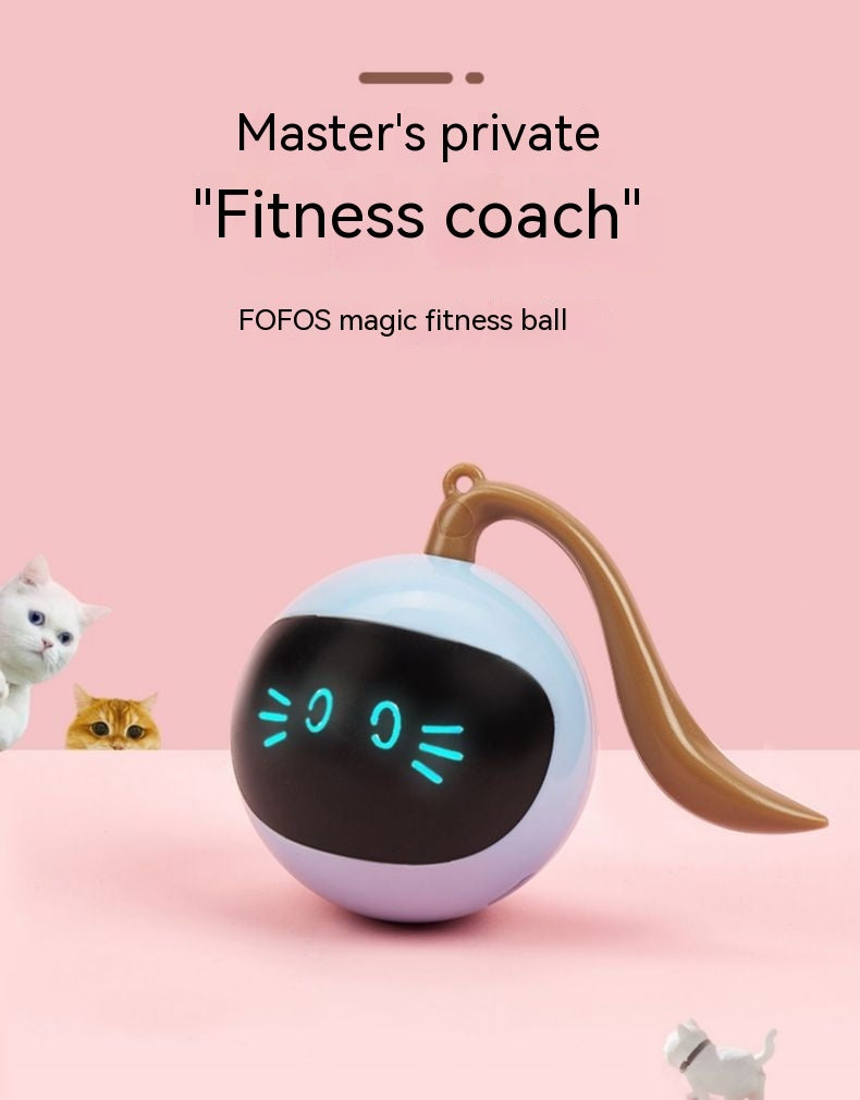 Cat Toy Electric Ball