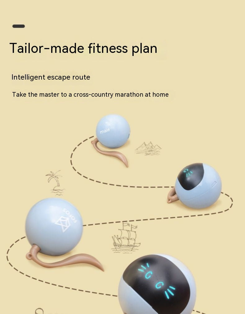 Cat Toy Electric Ball