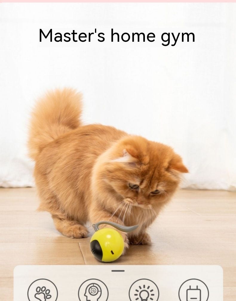 Cat Toy Electric Ball