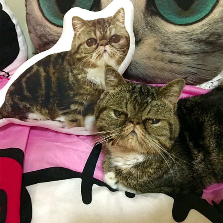 Customize (Your Pet)Pet Pillow