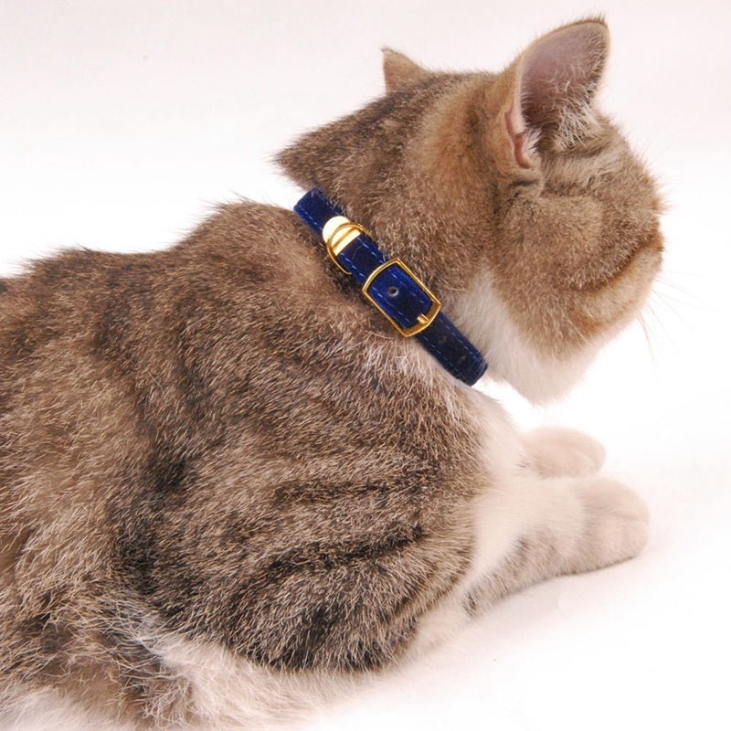Pet cat collar