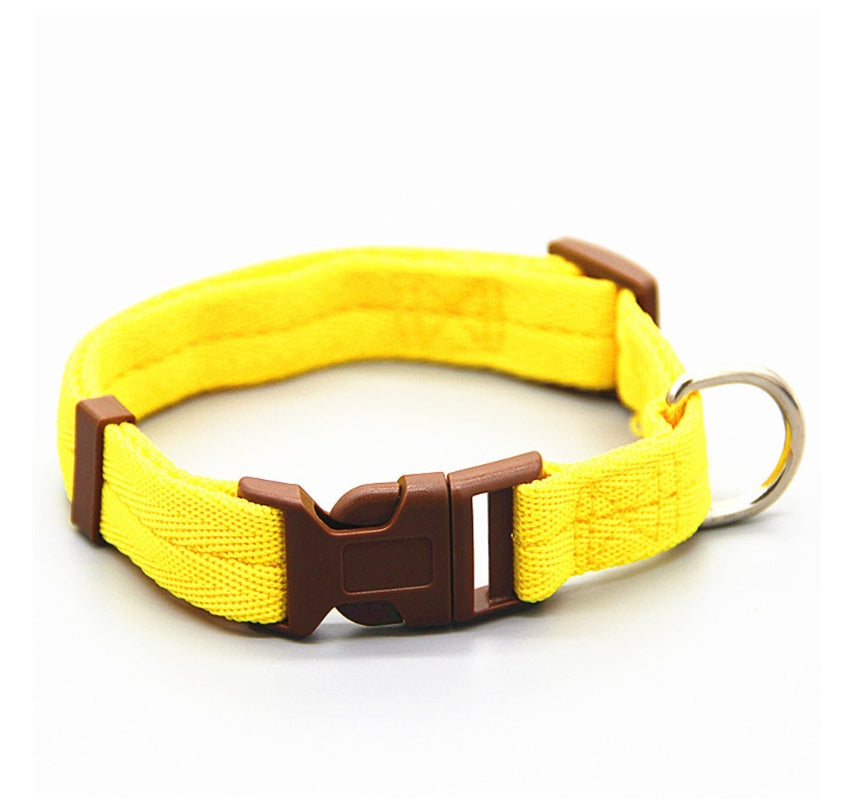 Dog collar big dog collar small dog