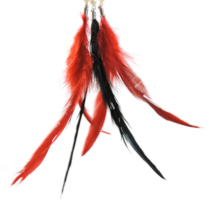 Feather bells, funny cats