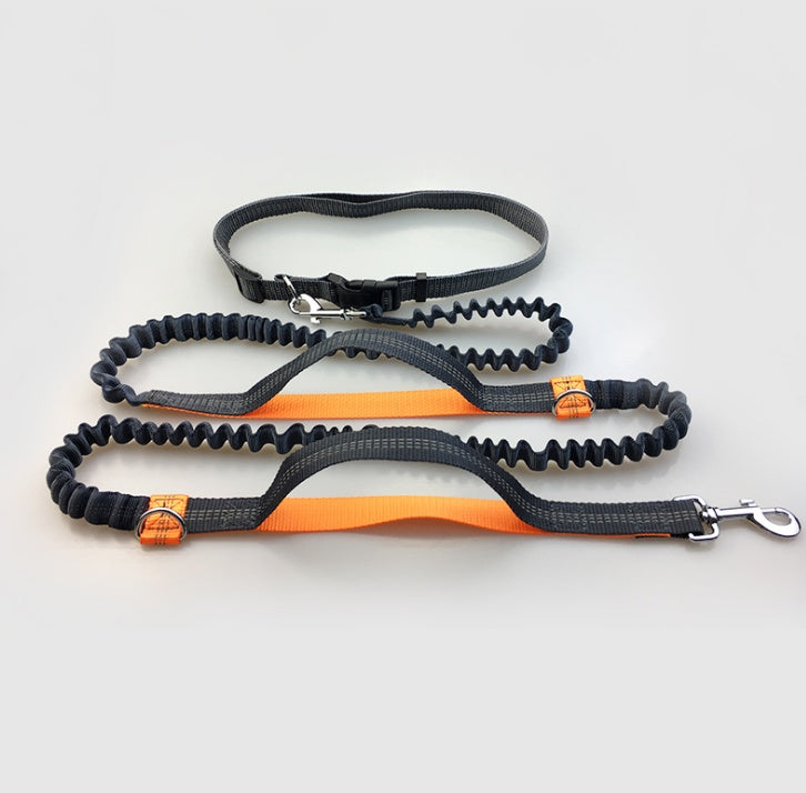 Reflective pull dog leash double elastic