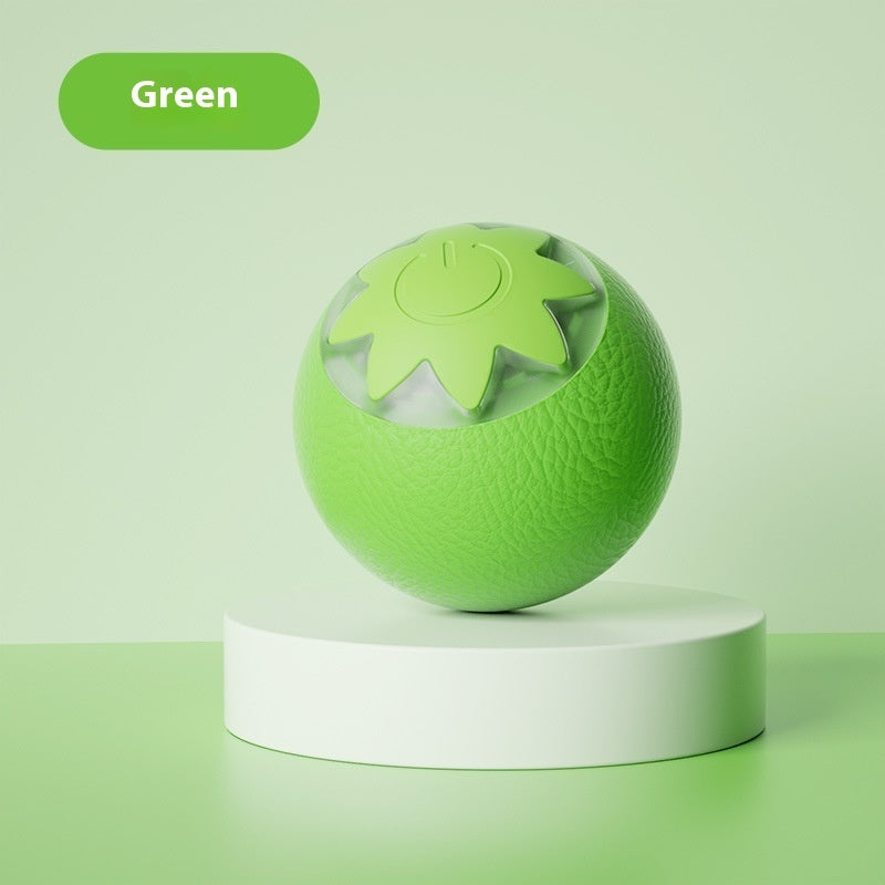 Self-Hi Relieving Electric Cat Toy