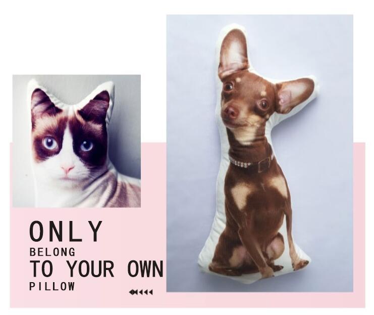 Customize (Your Pet)Pet Pillow