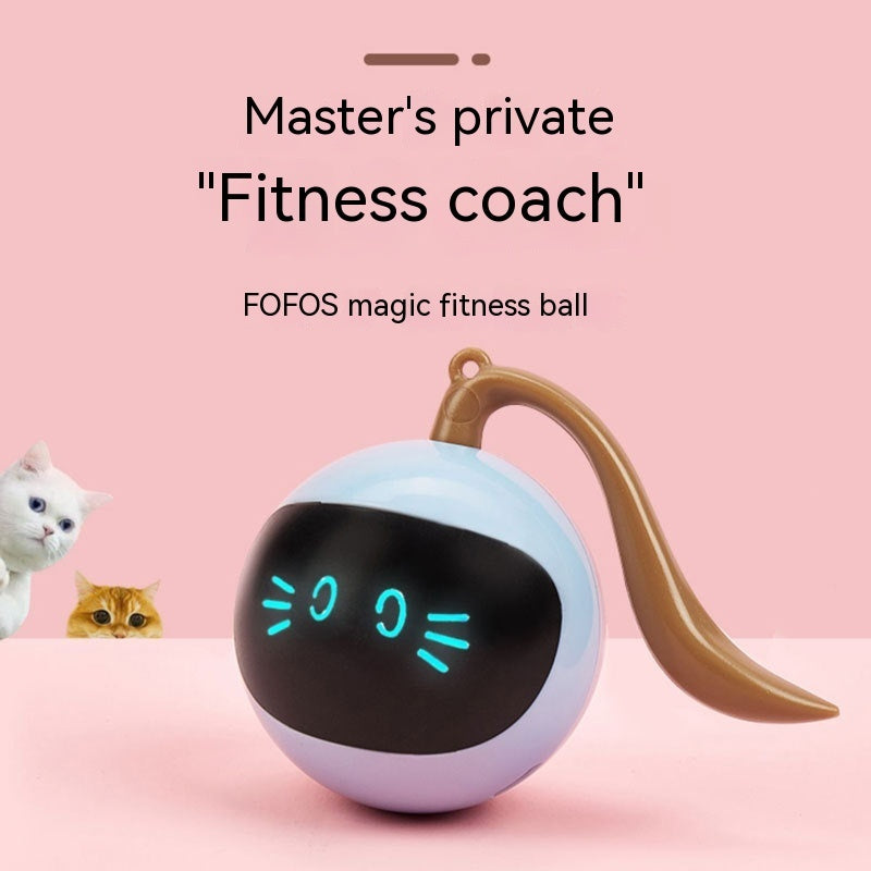 Cat Toy Electric Ball