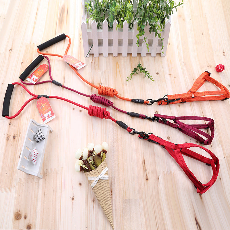 Pet nylon leash
