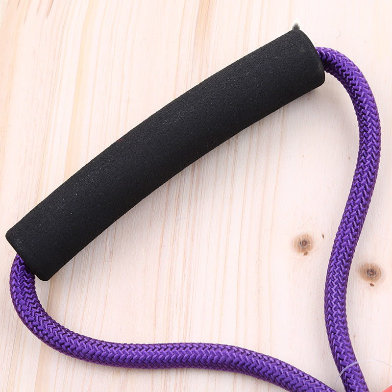 Pet nylon leash