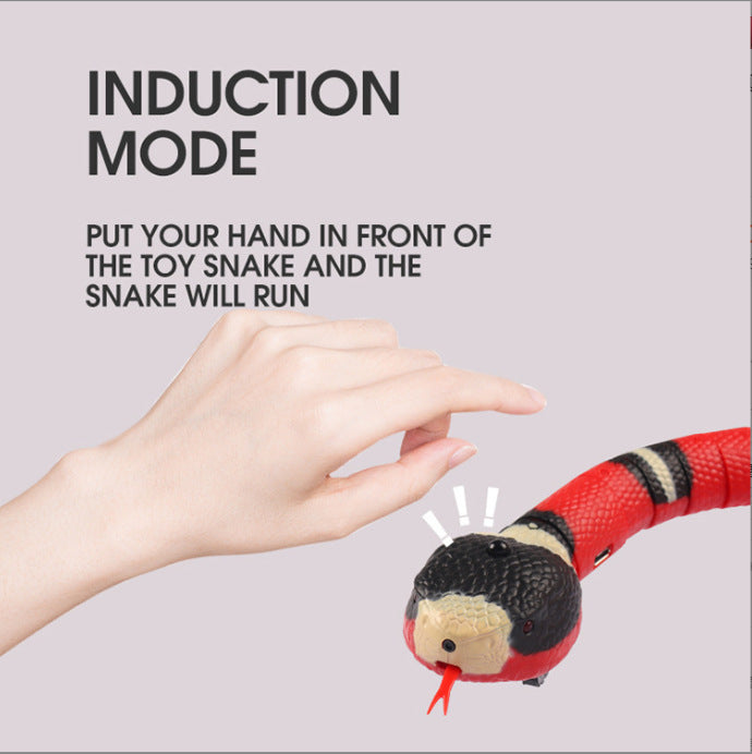 Interactive Electric Induction Snake Toy
