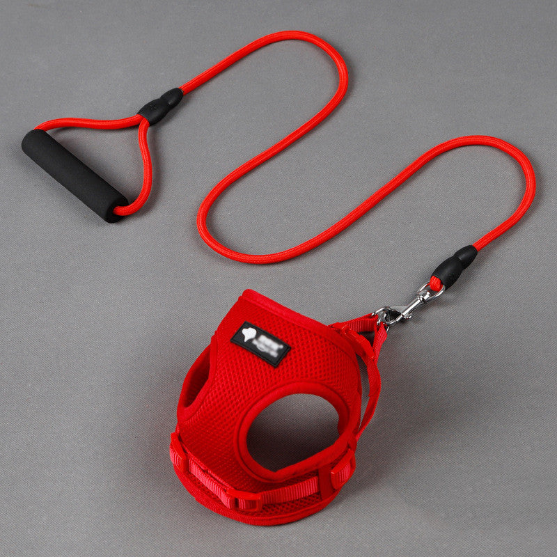 Dog leash/ harness