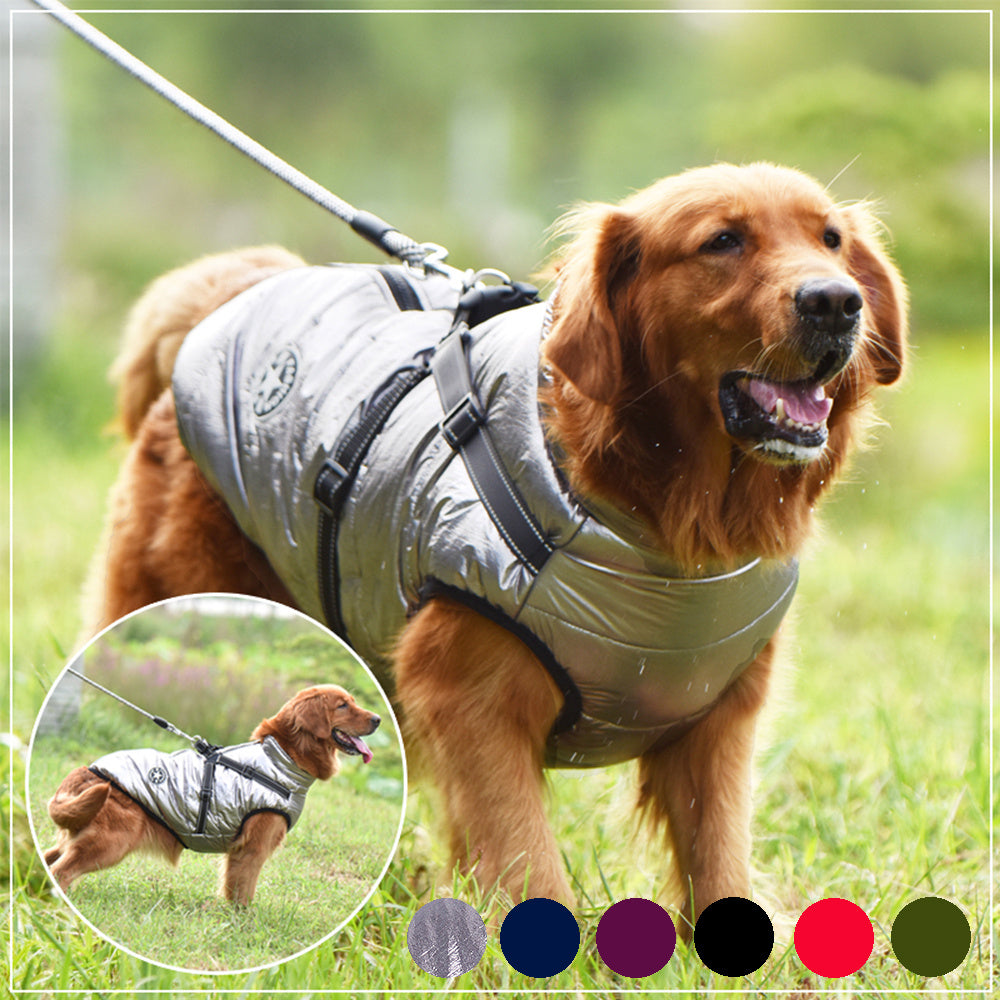 Waterproof Dog Winter Dog Coat With Harness
