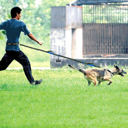 Reflective pull dog leash double elastic