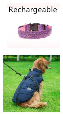 LED Dog Collar Safety Adjustable Nylon