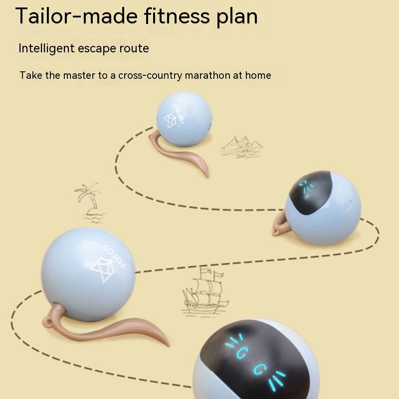 Cat Toy Electric Ball