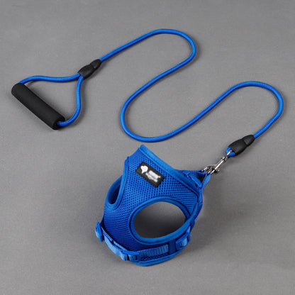 Dog leash/ harness