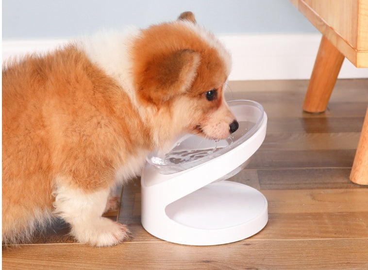 Cat/Dog Bowl Diagonal Mouth To Protect Cervical Vertebra