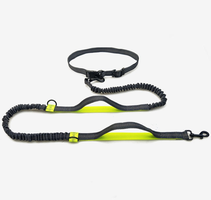 Reflective pull dog leash double elastic