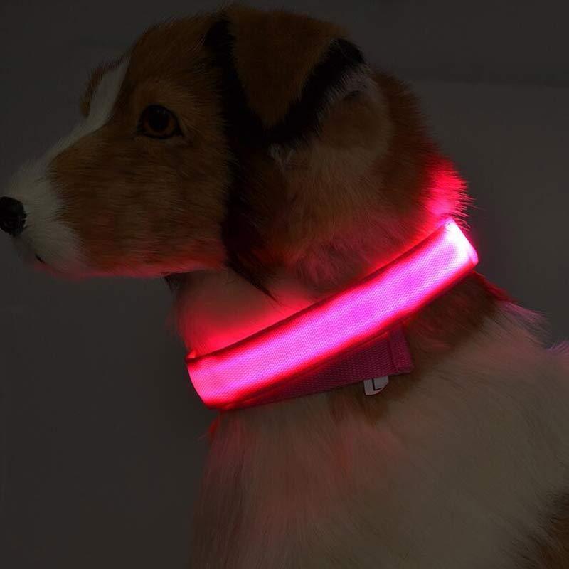 Nylon LED Pet Luminous Collar  Flashing Glow in Dark
